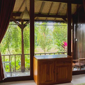 https://mancur-guesthouse.ubudhotelsnow.com